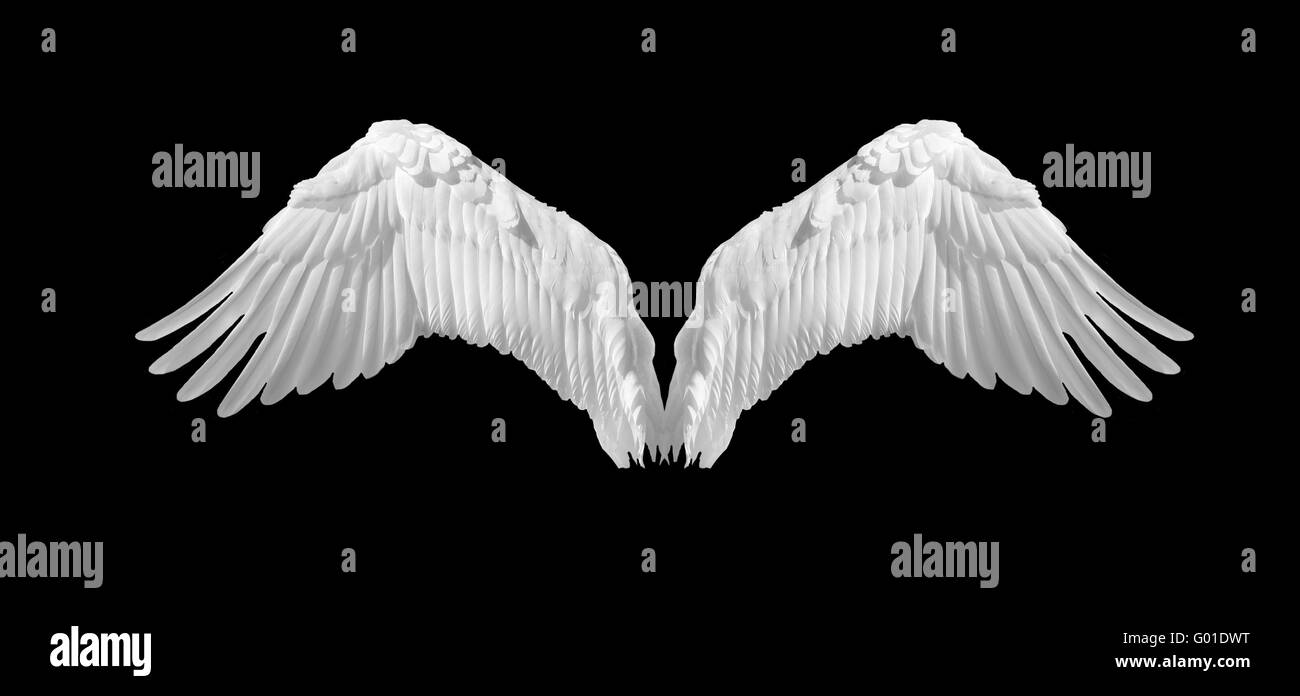 Angel Wings Stock Photo