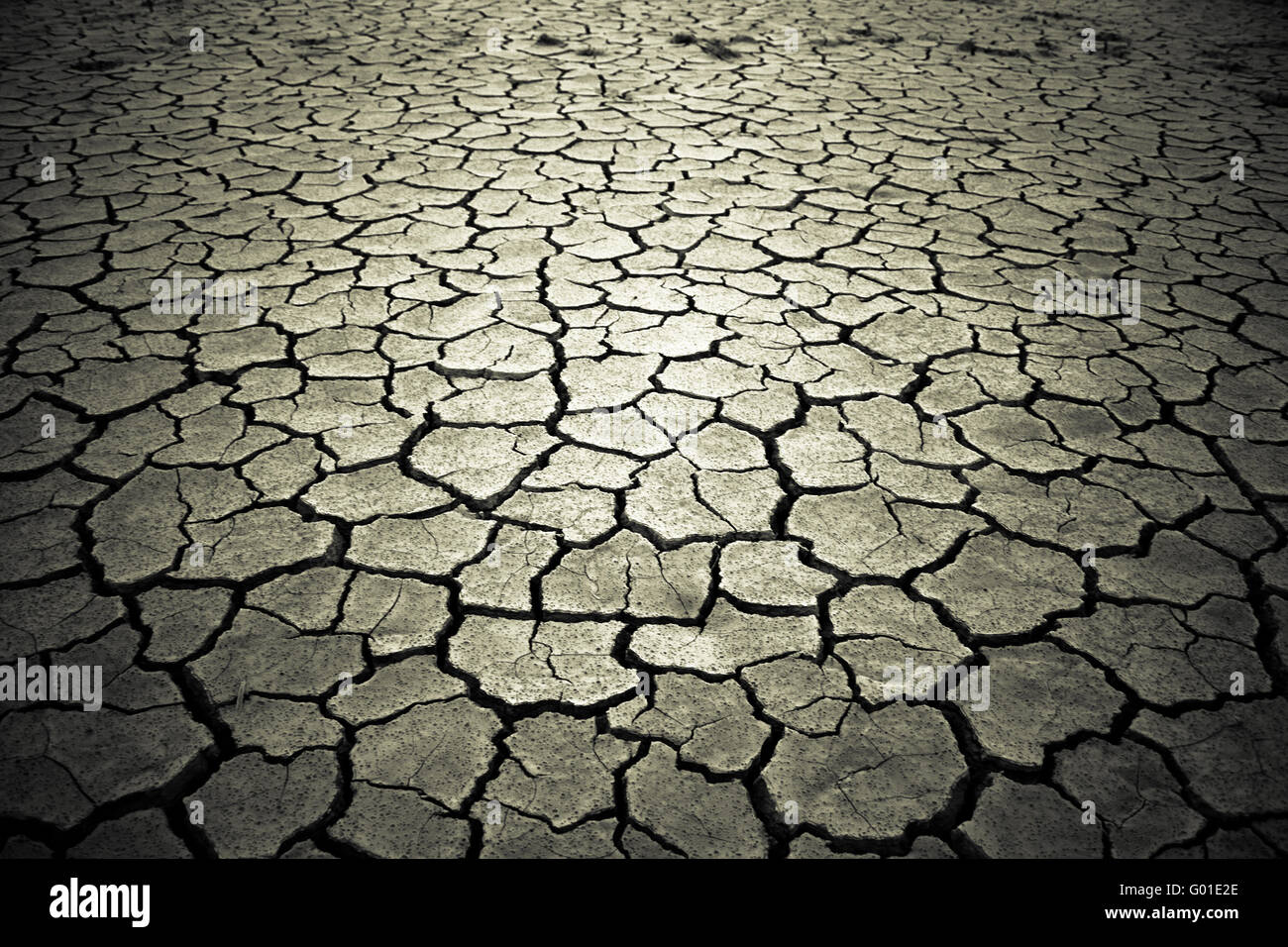 The soil in the fissures appeared on the long-term heat Stock Photo