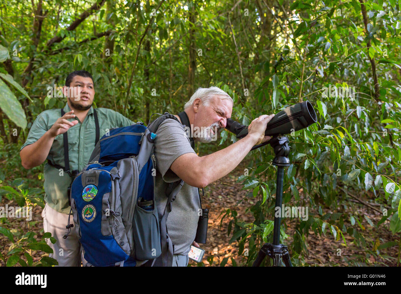 CORCOVADO NATIONAL PARK, COSTA RICA - Ecotoutist looks for wildlife with spotting scope as guide looks on in rain forest, Osa Pe Stock Photo