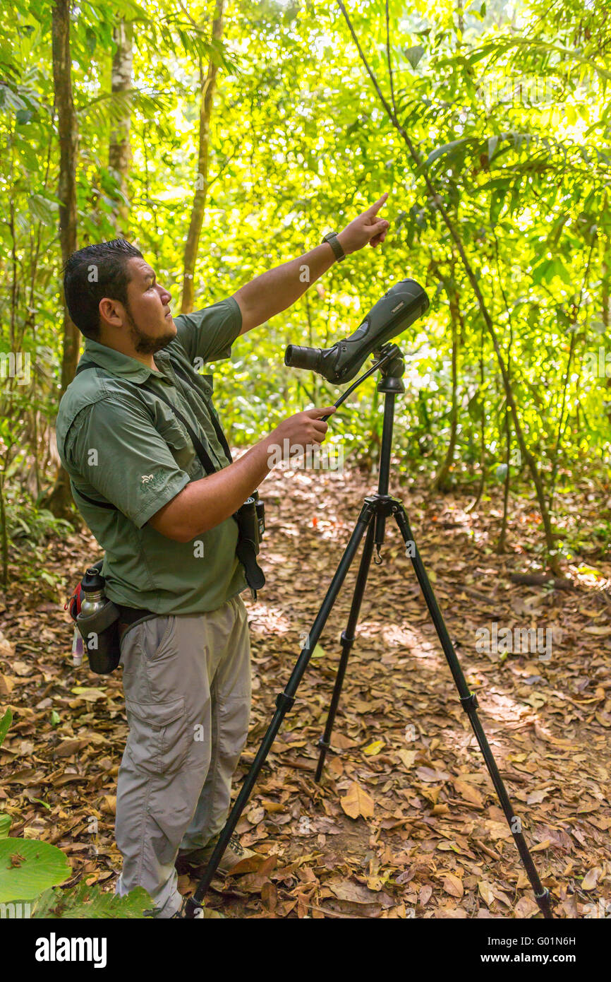 CORCOVADO NATIONAL PARK, COSTA RICA - Ecotourism guide in rain forest,  with spotting scope on tripod, Osa Peninsula. Stock Photo
