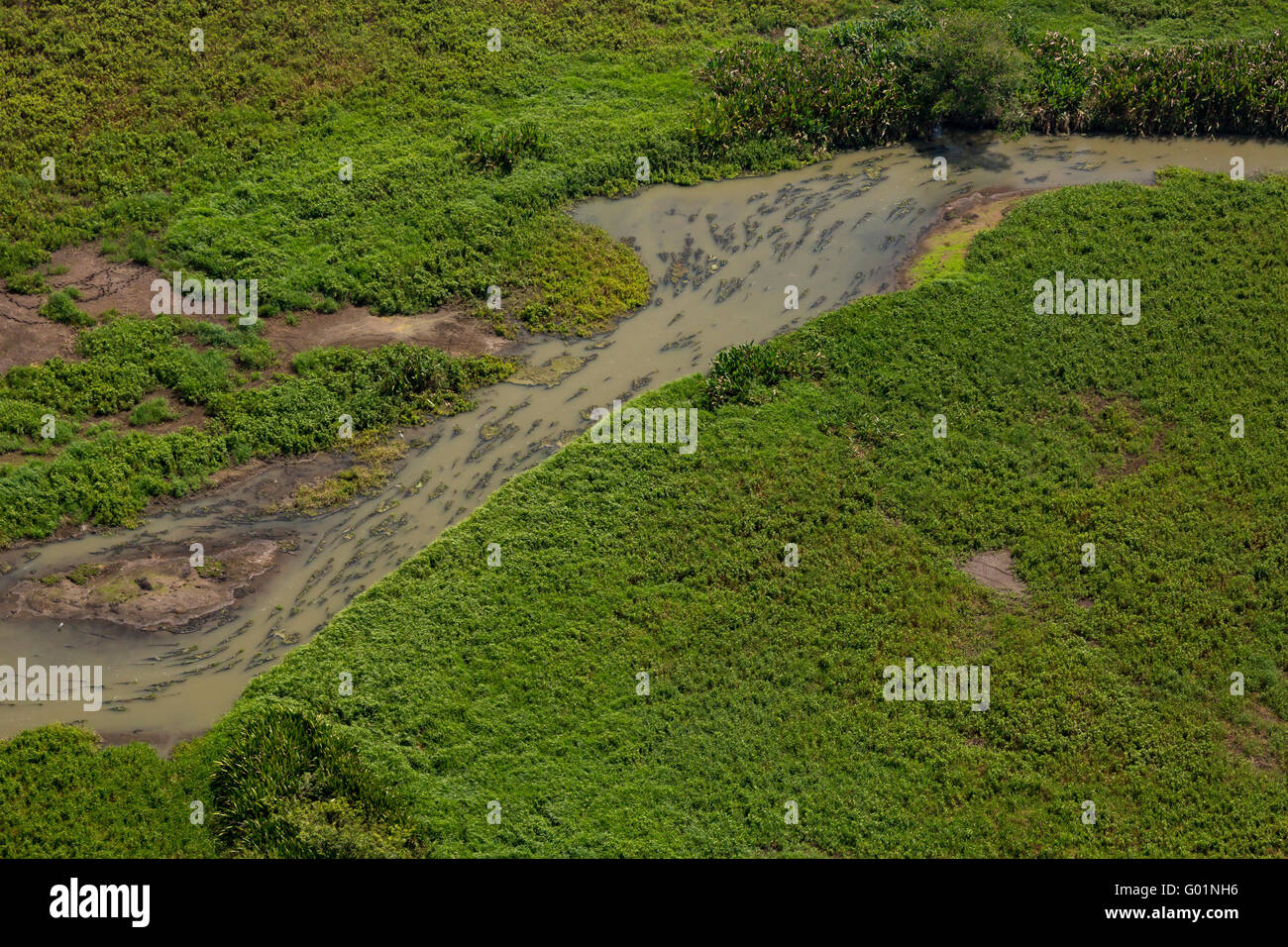 CORCOVADO NATIONAL PARK, COSTA RICA - Aerial of Sirena River, Laguna de Corcovado, Osa Peninsula. Stock Photo