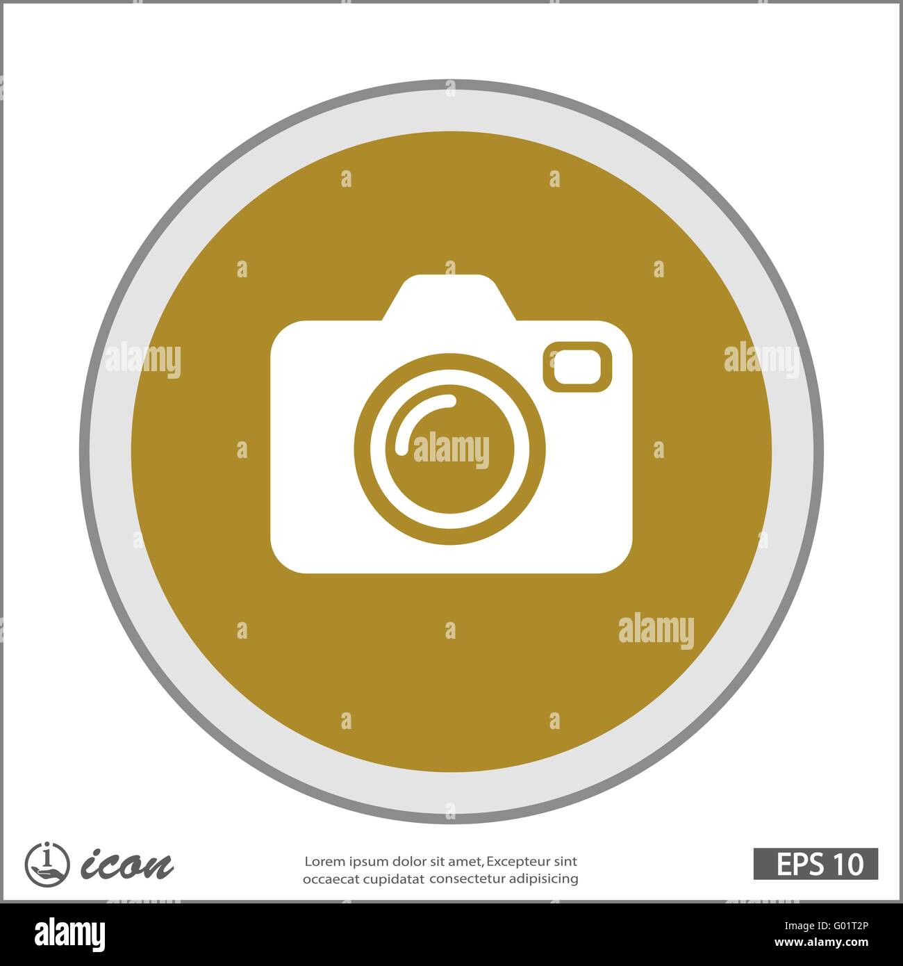 Pictograph of camera Stock Vector