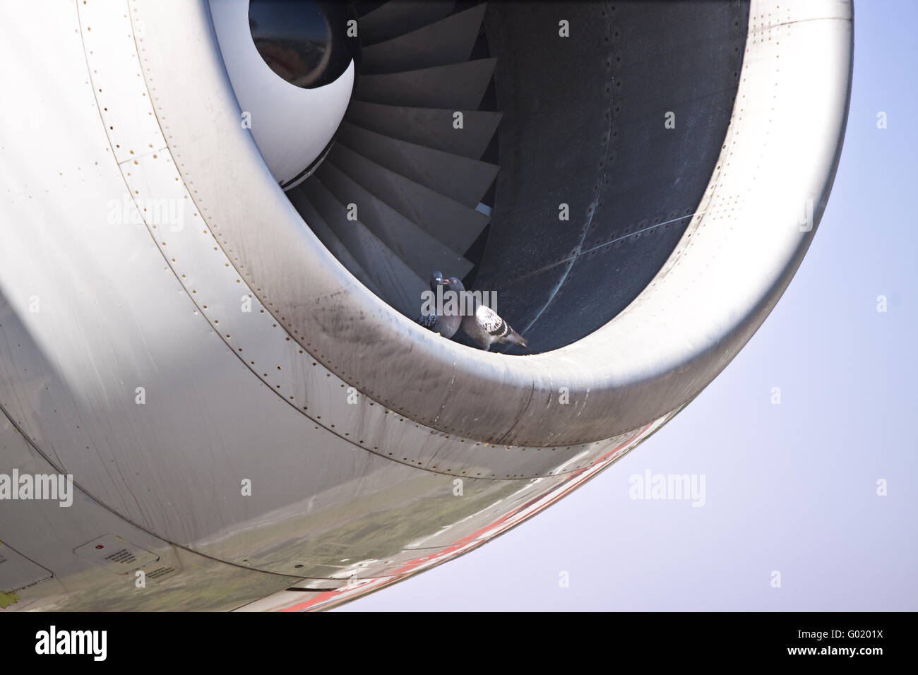 Detail view of a jet plane engine, with two doves Stock Photo