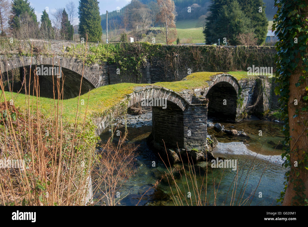 Pont Minllyn packhorse bridge over river Dovey with modern bridge carrying A470 road behind Dinas Mawddwy Gwynedd Mid Wales UK Stock Photo