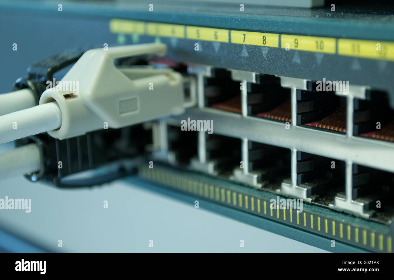 Network connector on computer Stock Photo Alamy