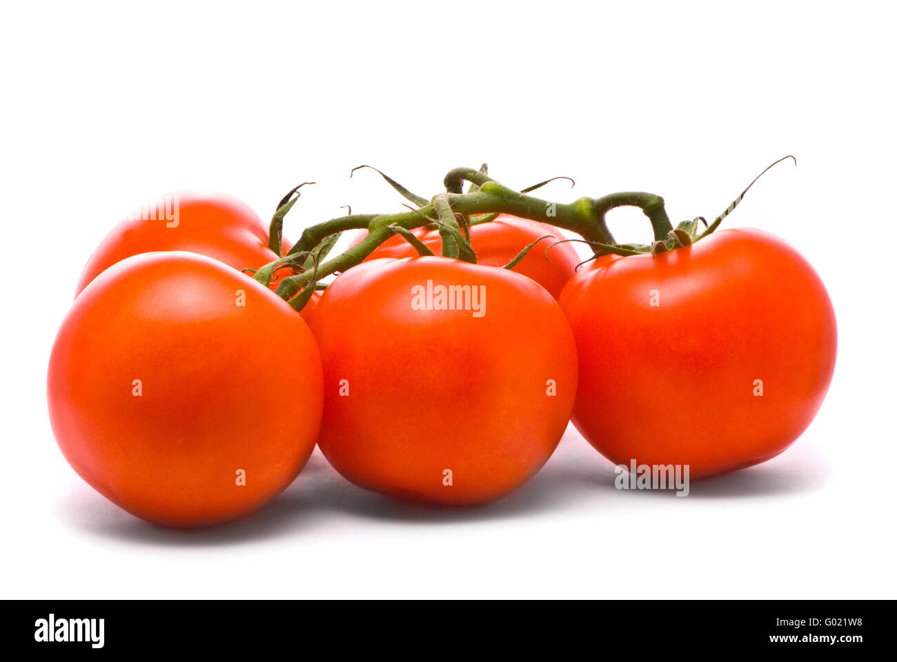 Fresh tomatoes. Macro studio isolated on white. Stock Photo