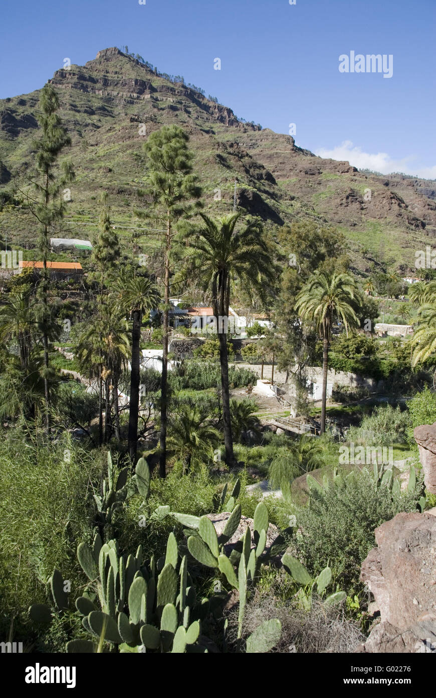Mogan valley hi-res stock photography and images - Alamy