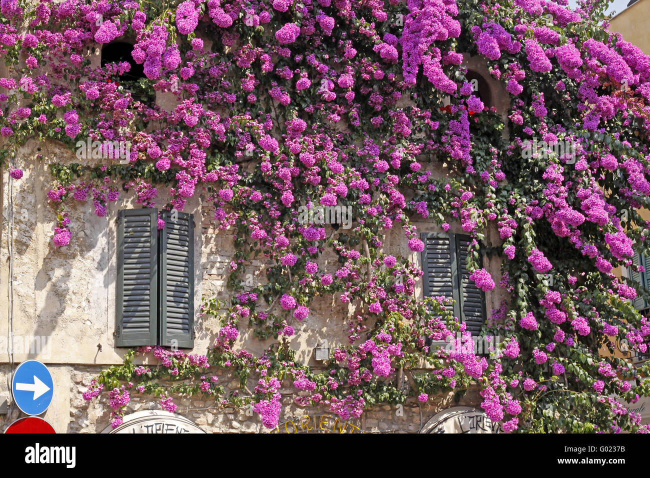Sirmione, house in the old part of town with bougainvillea glabra, paper flower, also known as lesser bougaivillea, Lake Garda, Stock Photo