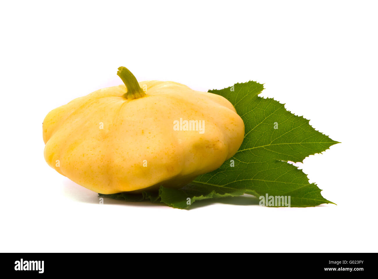 Scallop squash and green leaf on white background Stock Photo