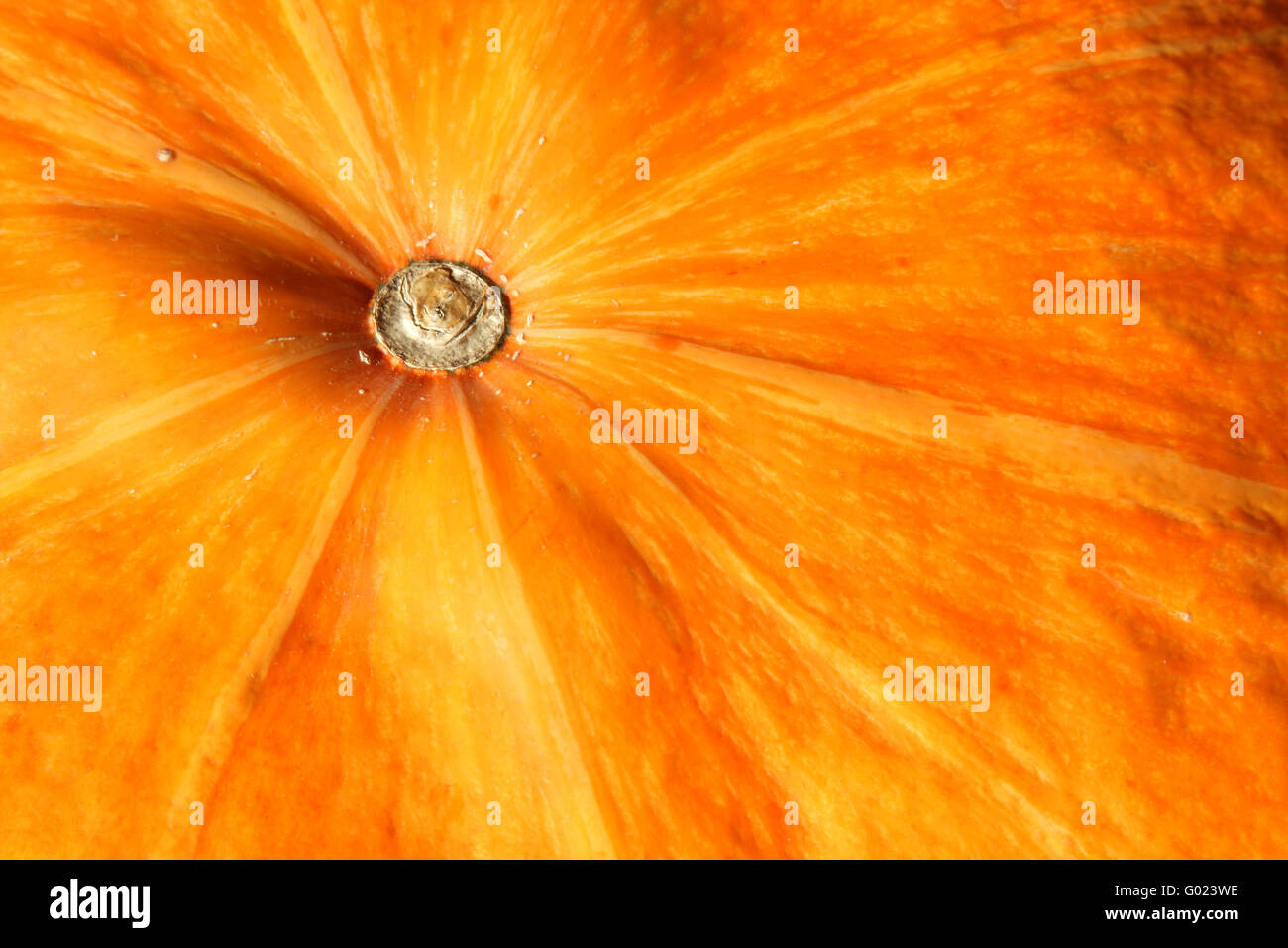 Ripe orange organic pumpkin. Full frame background Stock Photo - Alamy
