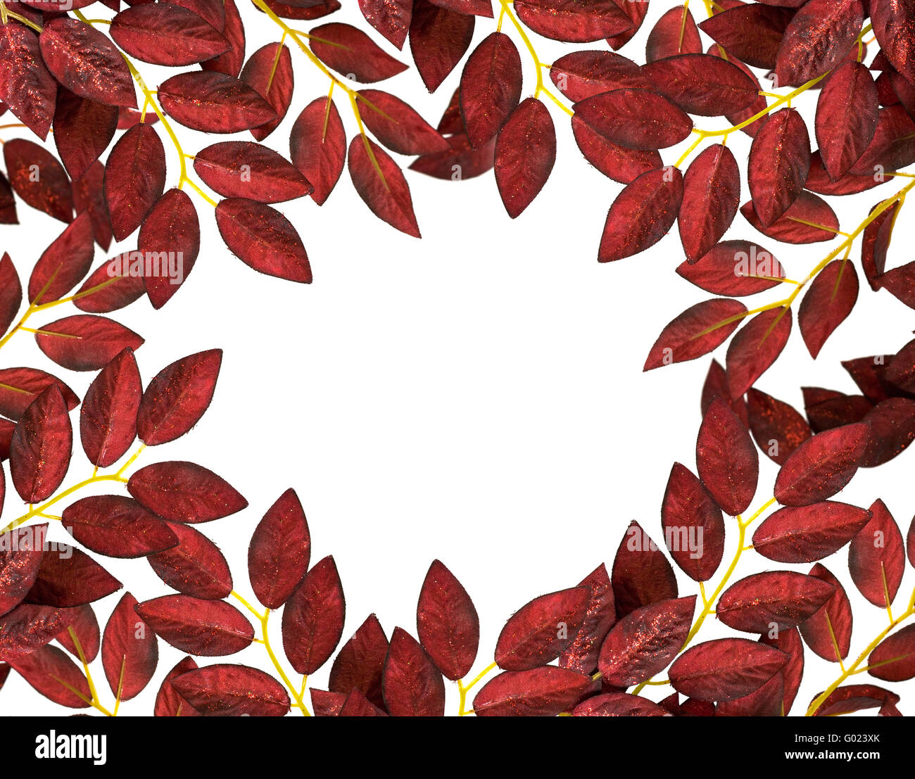 border of red leaves isolated on white background Stock Photo