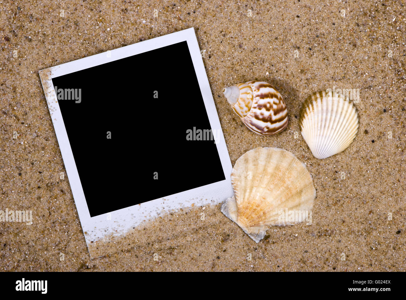 Photo frame with sea shells on sand background Stock Photo - Alamy