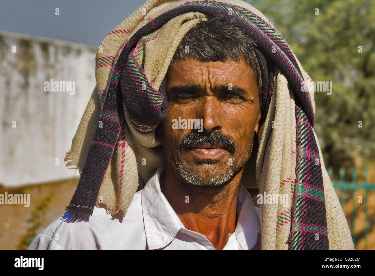 Hindoo shepherd, north India, India, Asia Stock Photo