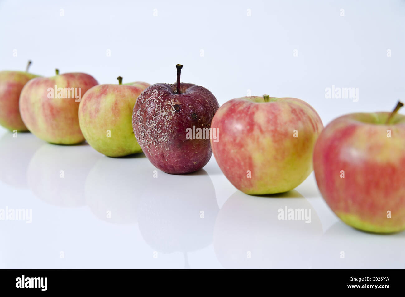 rotten apple Stock Photo