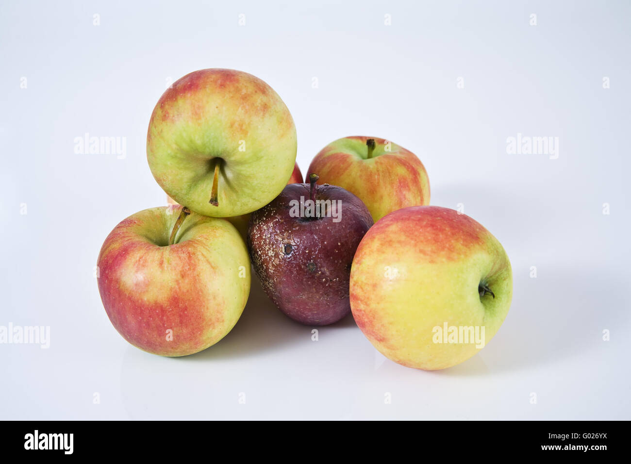 rotten apple Stock Photo