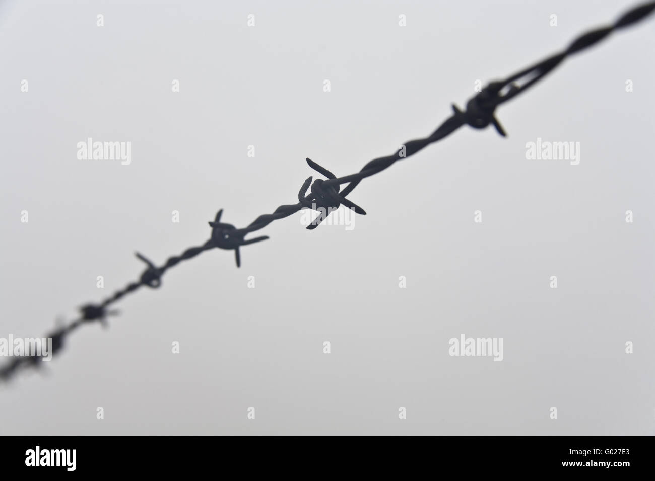 barbwire with fog Stock Photo