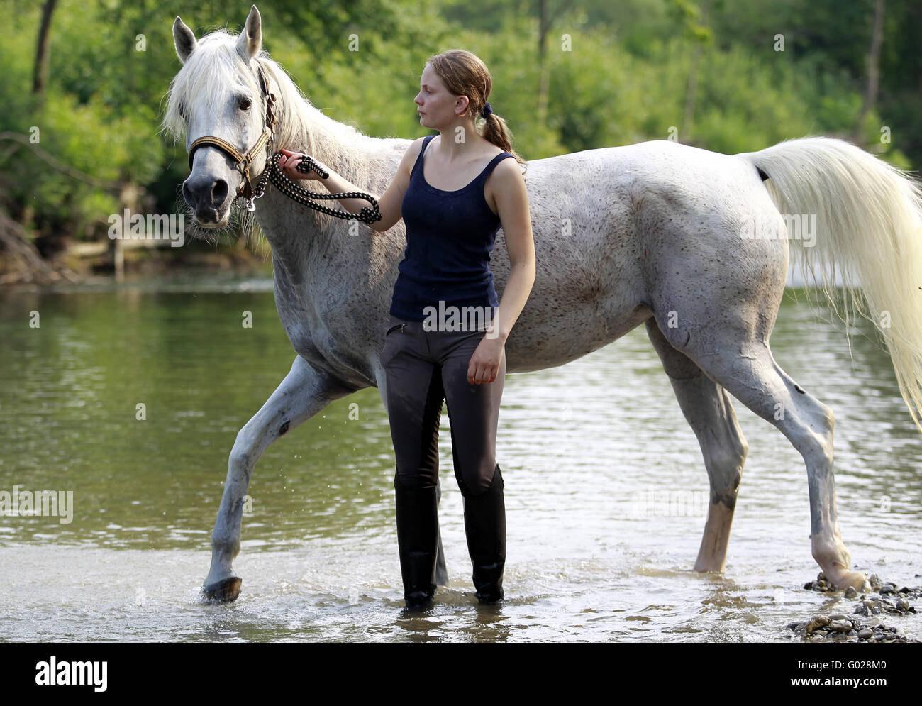 Young woman with a horse in a river Stock Photo