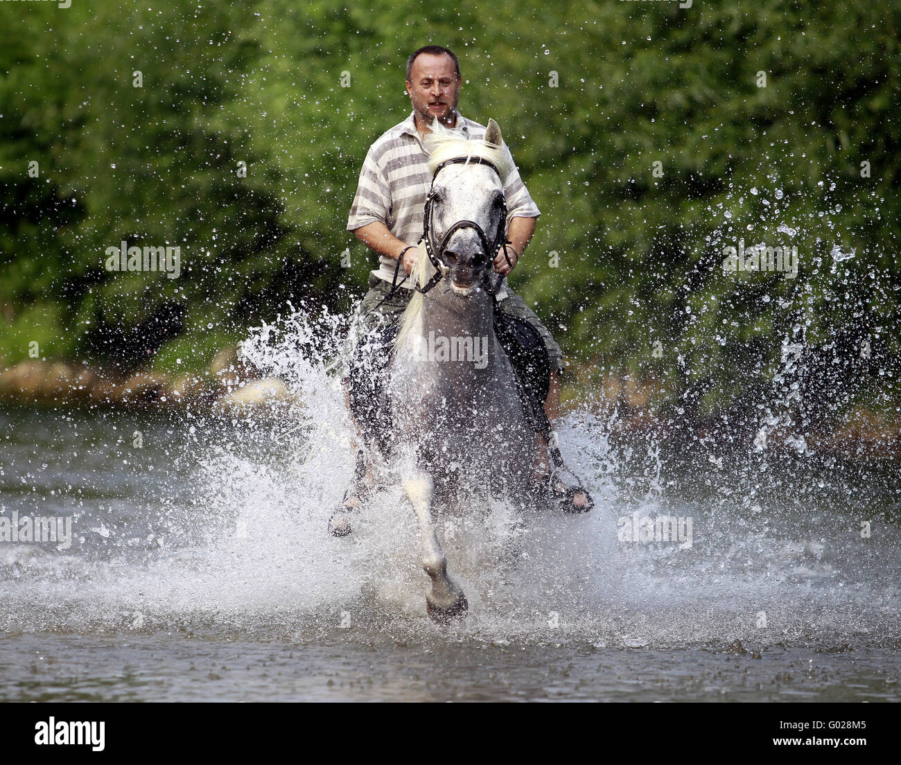 A man riding a horse Stock Photo - Alamy