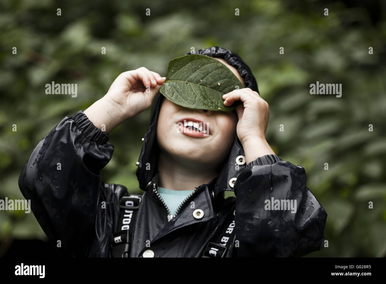 Boy and leaf Stock Photo
