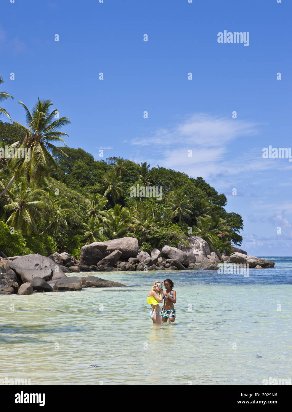 Beach with the typical granite rocks of the Seychelles Anse Royale in Stock Photo