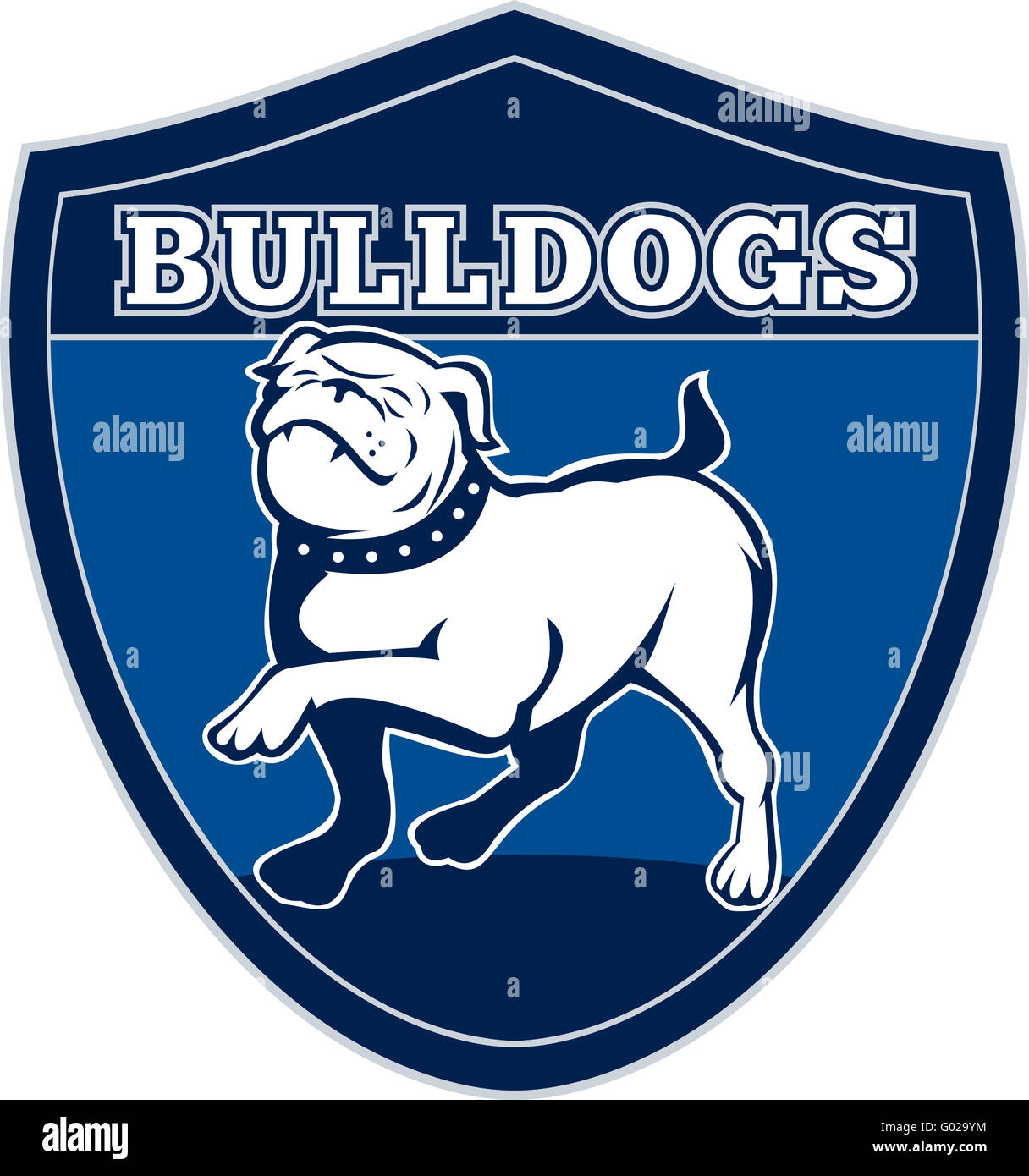 English bulldog british rugby sports team mascot Stock Photo Alamy