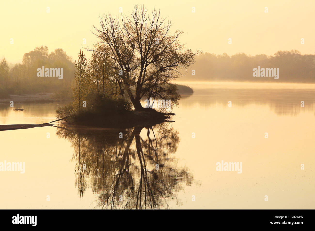 small island in river Loire, Burgundy, France Stock Photo