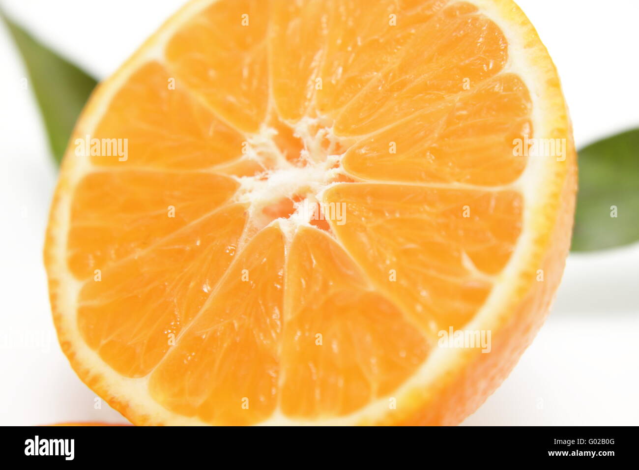 fresh clementine Stock Photo