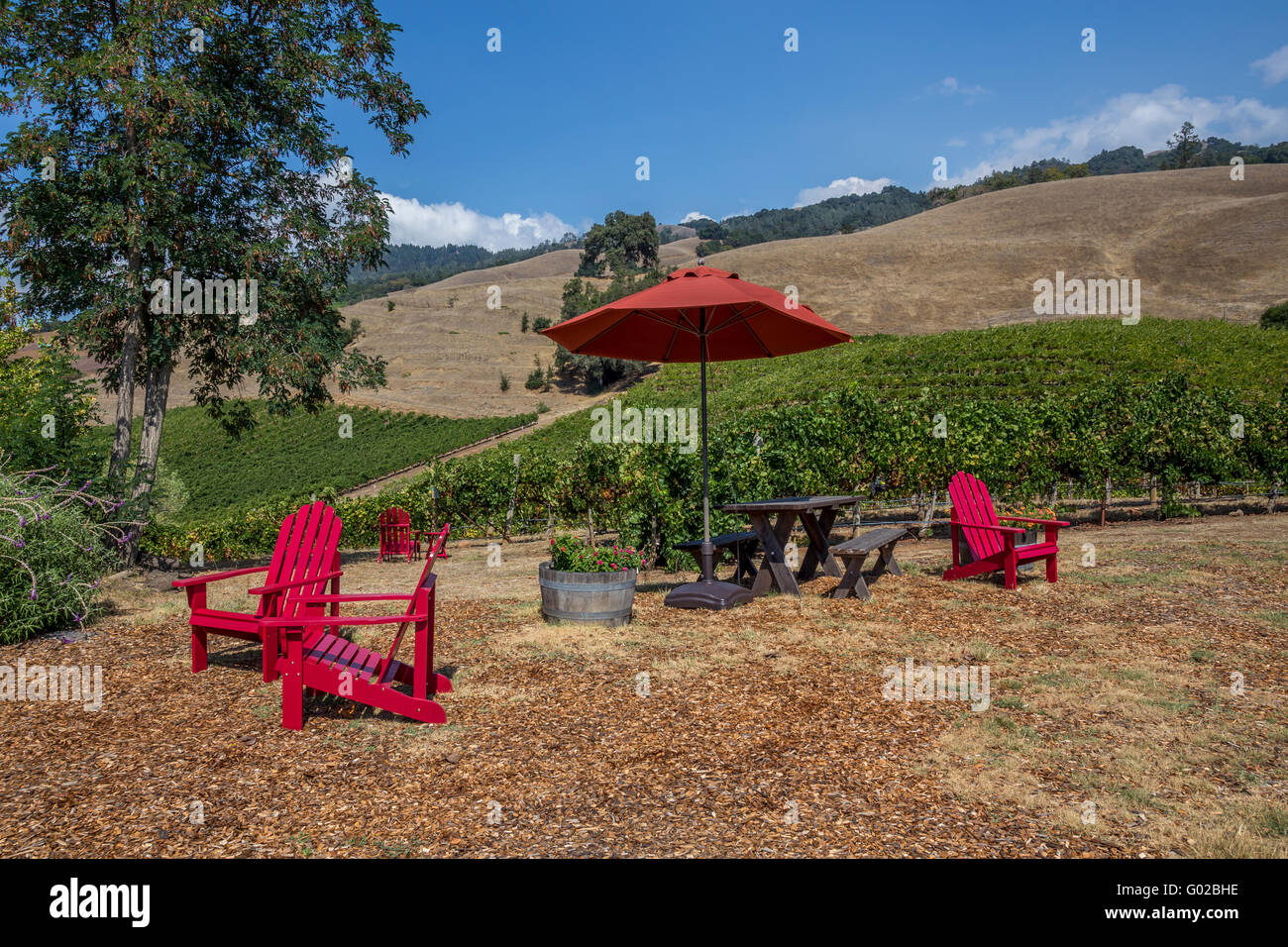 picnic table, grape vineyard, vineyard, vineyards, view from Hanna Winery  and Vineyards, Healdsburg, Alexander Valley, Sonoma County, California  Stock Photo - Alamy