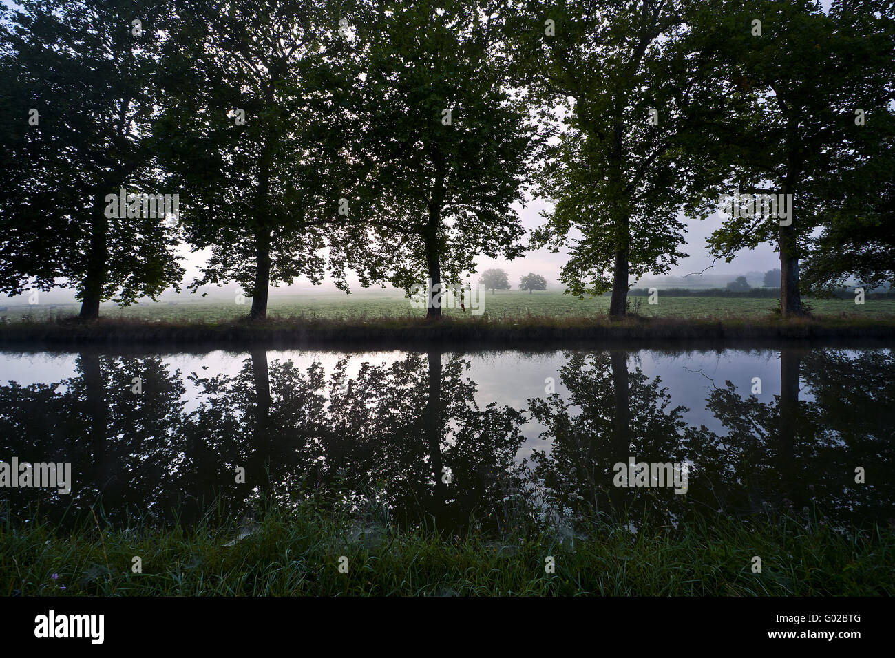 morning mist on Canal-du-Centre, Burgundy, France Stock Photo