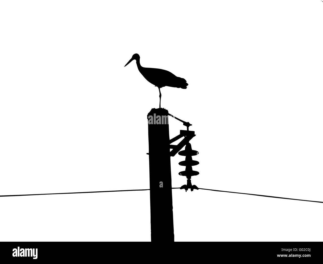 vector silhouette of the crane on electric pole Stock Photo
