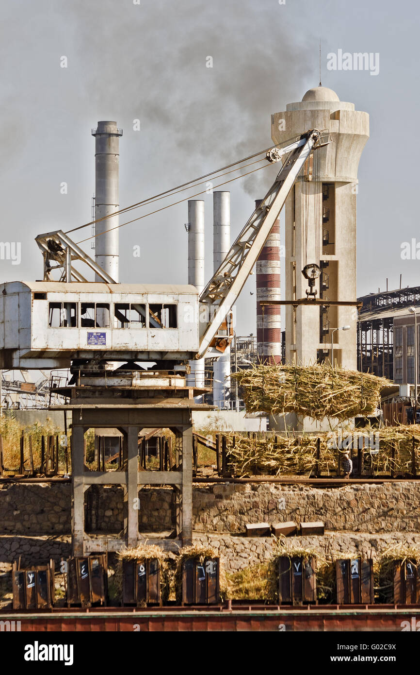 Egypt Nile Factory Crane Unloading Sugar Cane Stock Photo Alamy