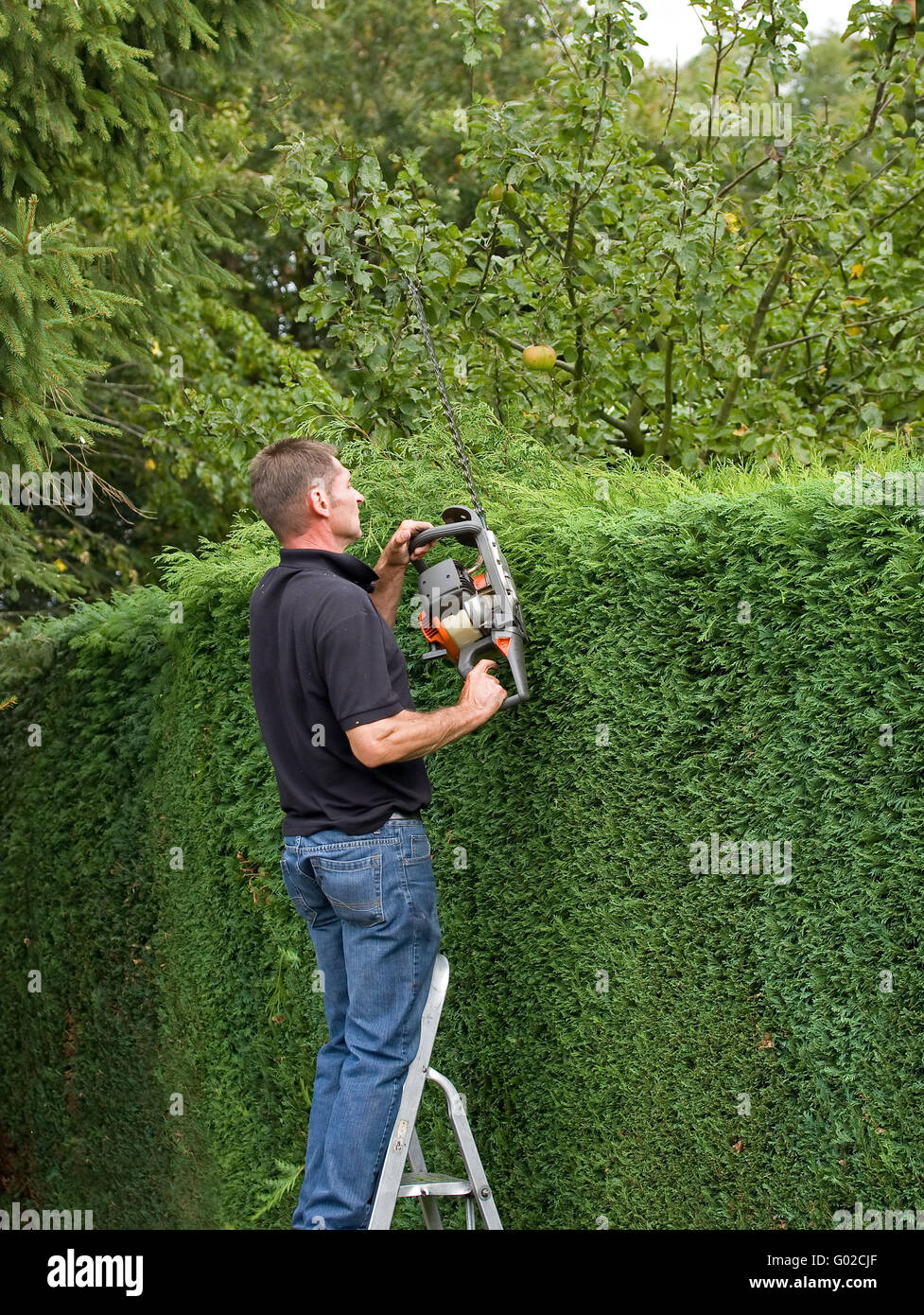 HEDGETRIMMER MAN IS BACK! : r/ChainsawMan