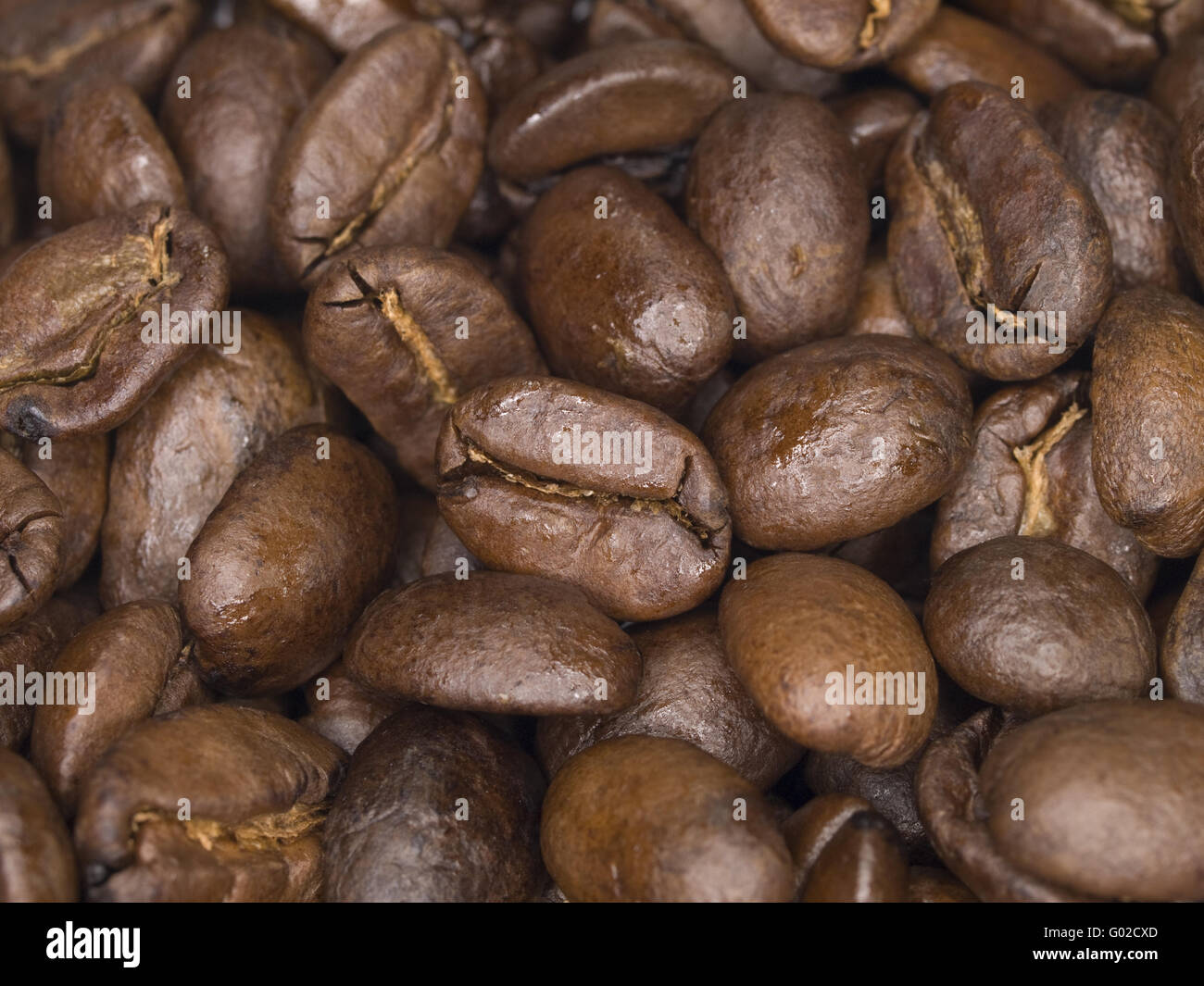 Kaffeebohnen, Coffee Beans Stock Photo