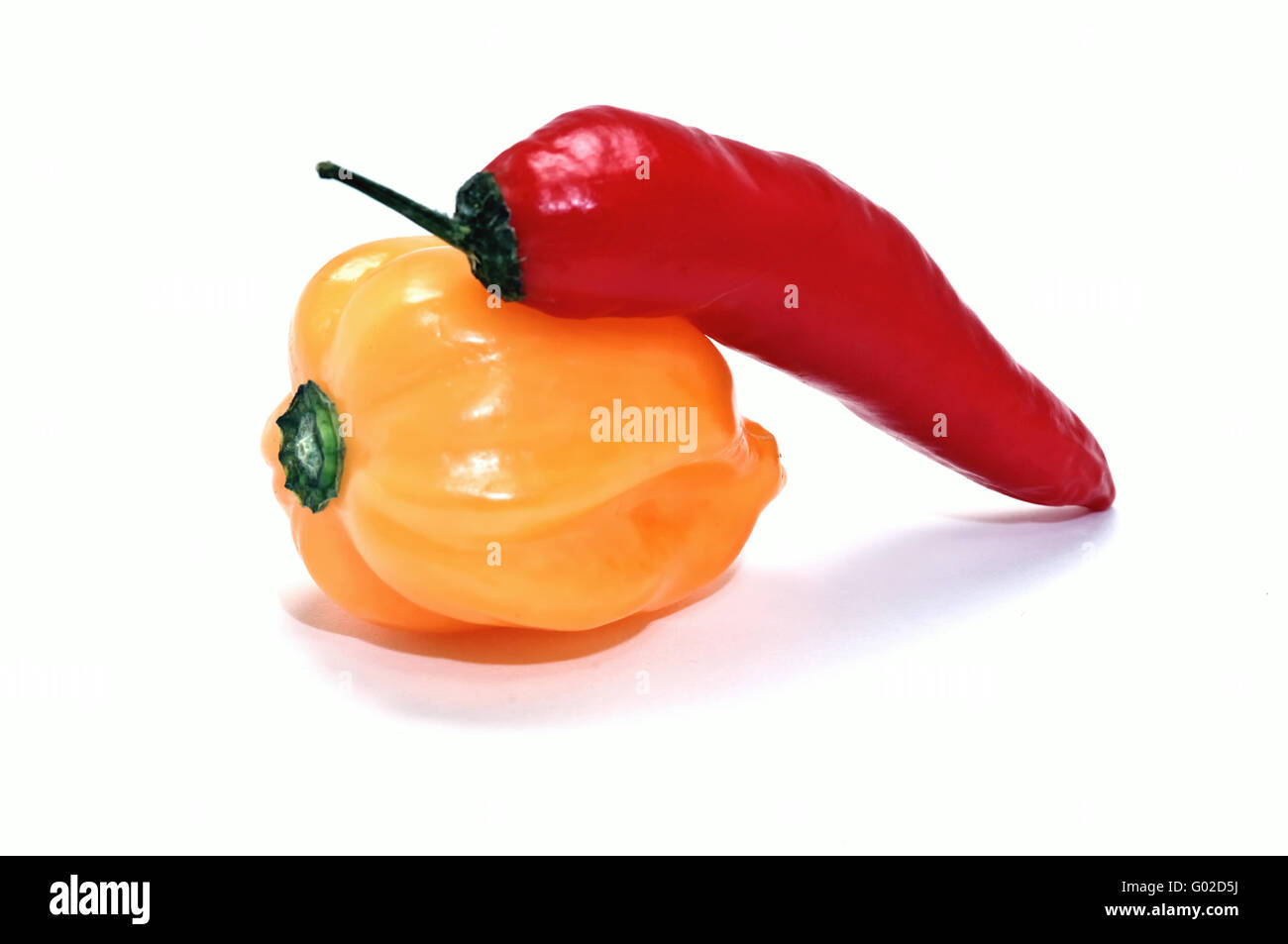 Orange Habanero Red Pepper Stock Photo