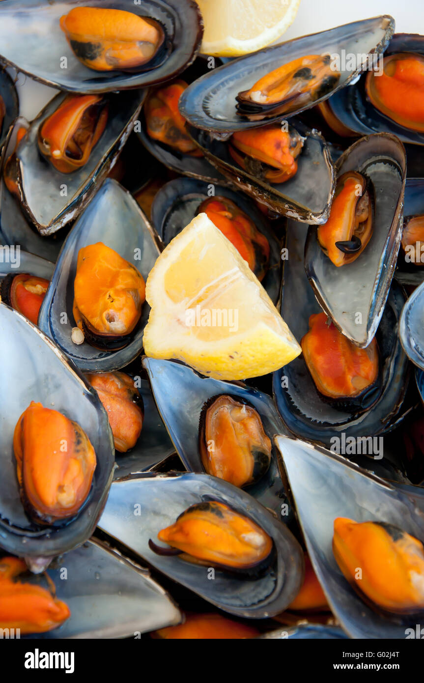 mussels boiled with a squeeze of lemon Stock Photo