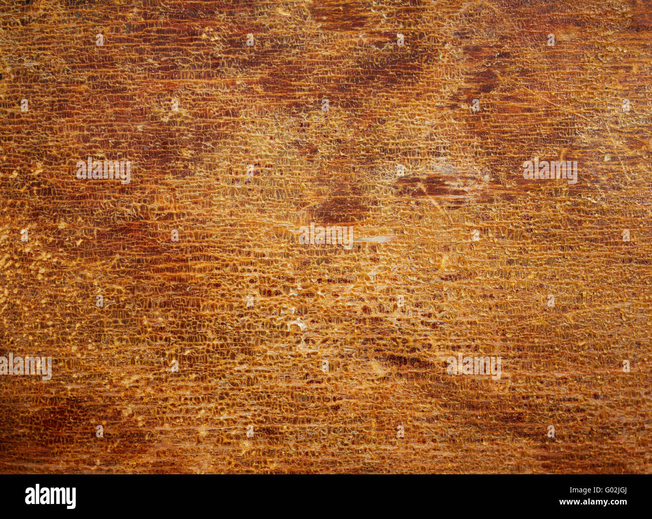 Wood texture with the old cracked varnish surface. Stock Photo