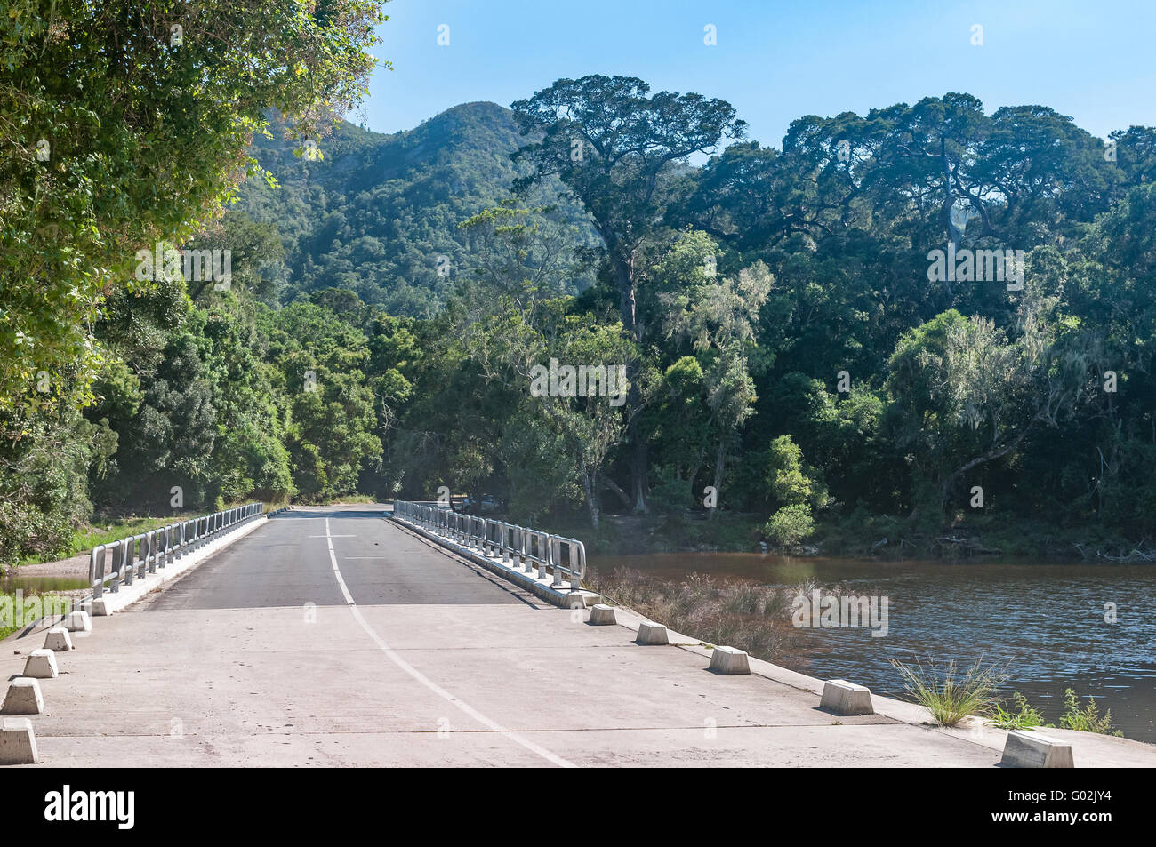 Bridge over the Groot River with the Tsitsikama Forest with large yellowwood trees in the back Stock Photo