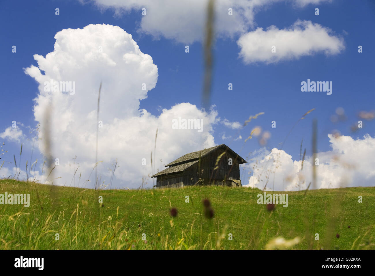 mountain pasture Stock Photo
