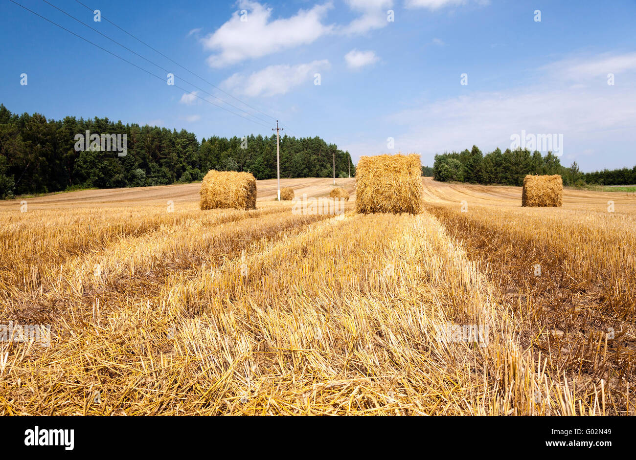 after harvesting cereal Stock Photo - Alamy
