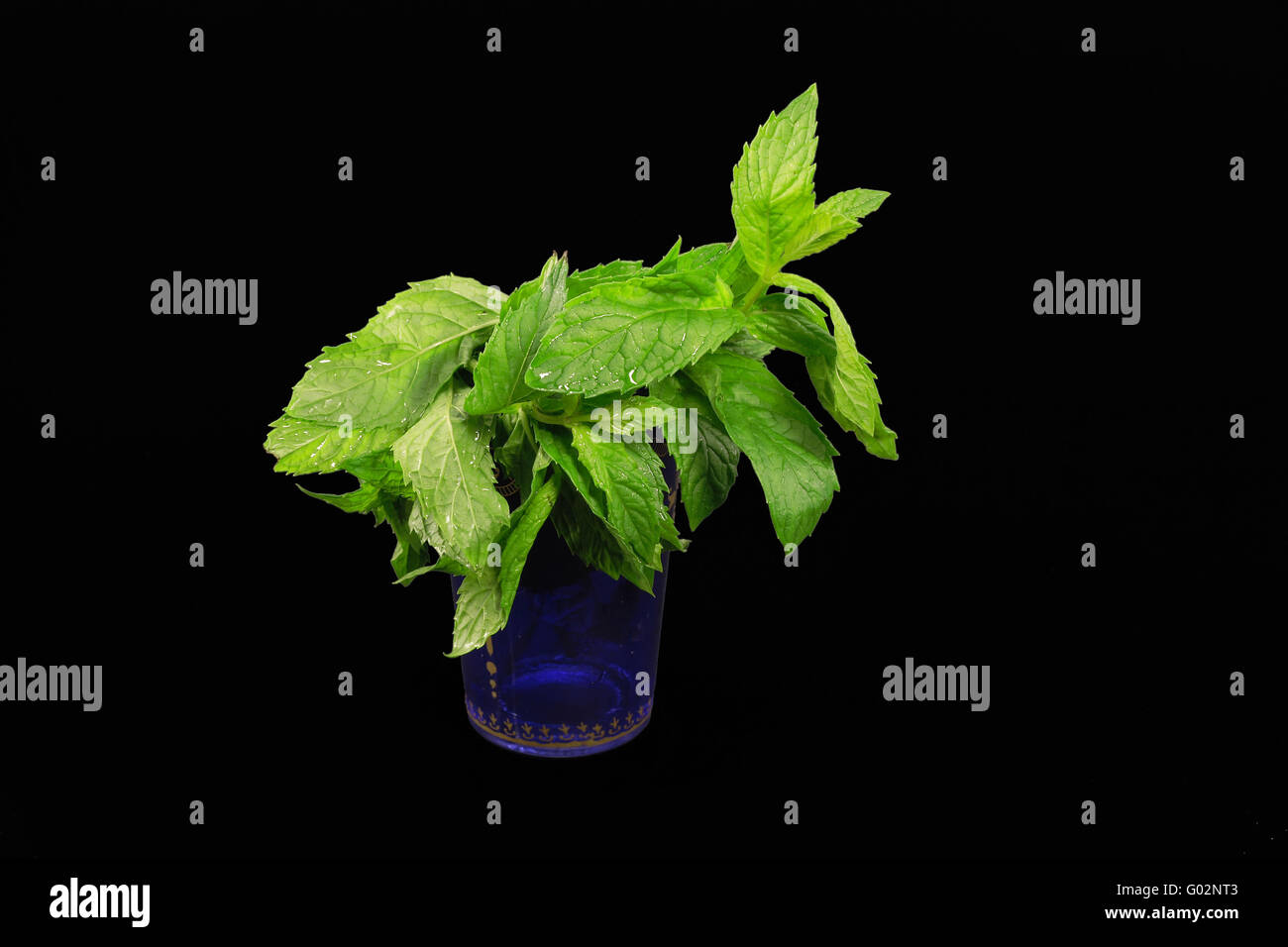 mint in tea glass Stock Photo