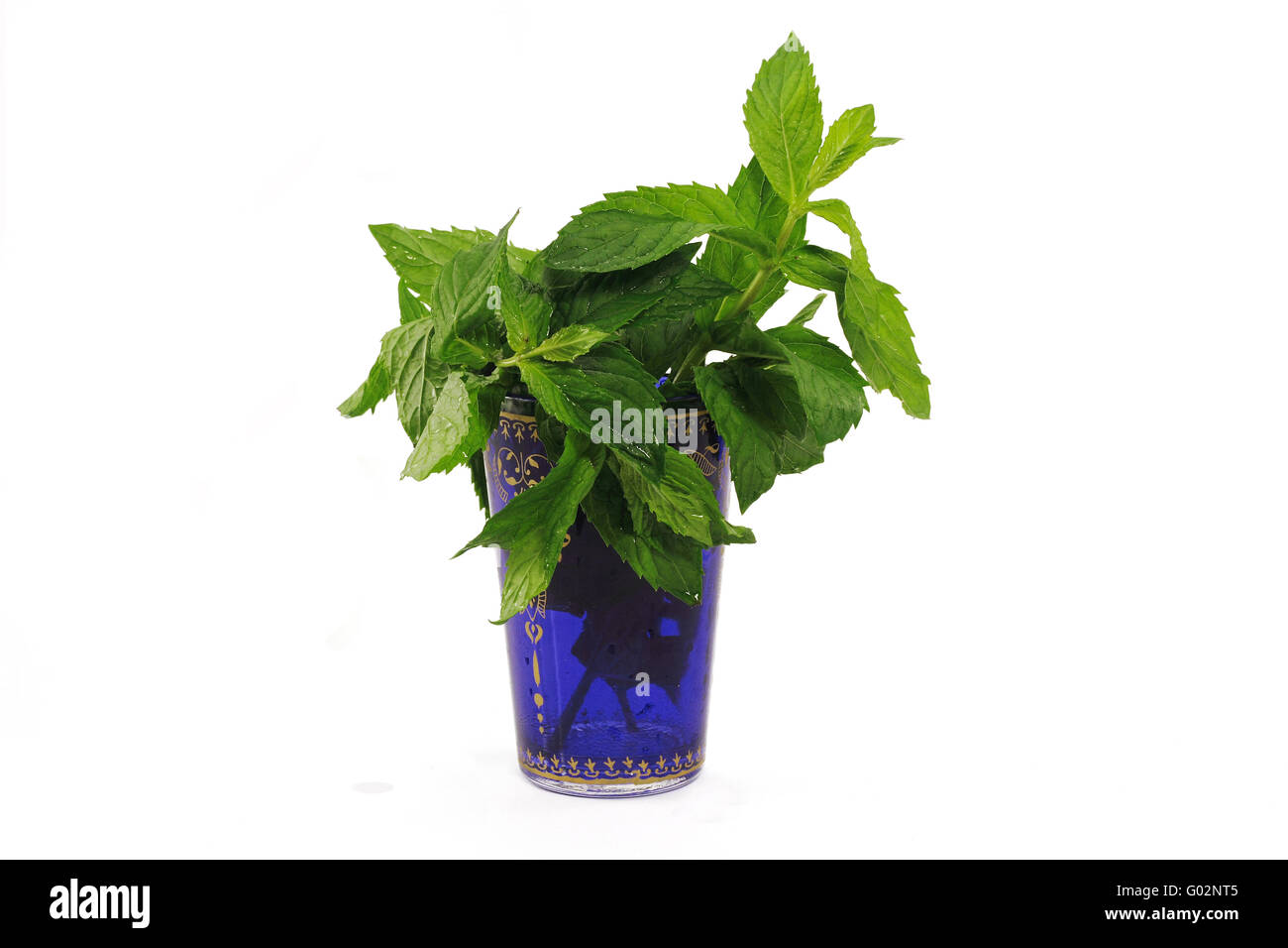 mint in tea glass Stock Photo