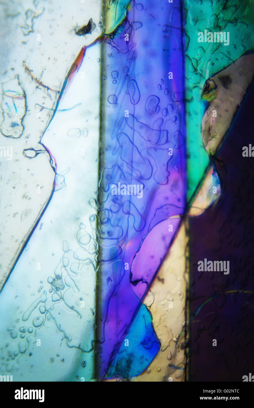 Light Image: photomicrograph of translucent structures in polarized ...
