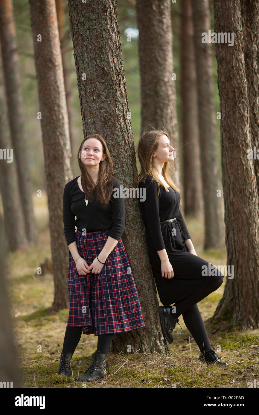 Sunny walk in forest hi-res stock photography and images - Alamy