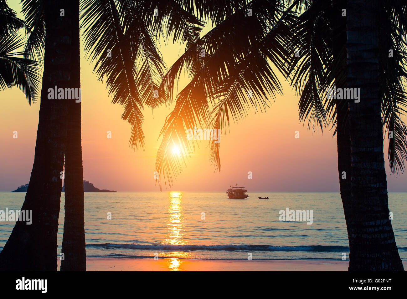 Tropical seashore, silhouettes of palm leaves during an amazing sunset. Stock Photo