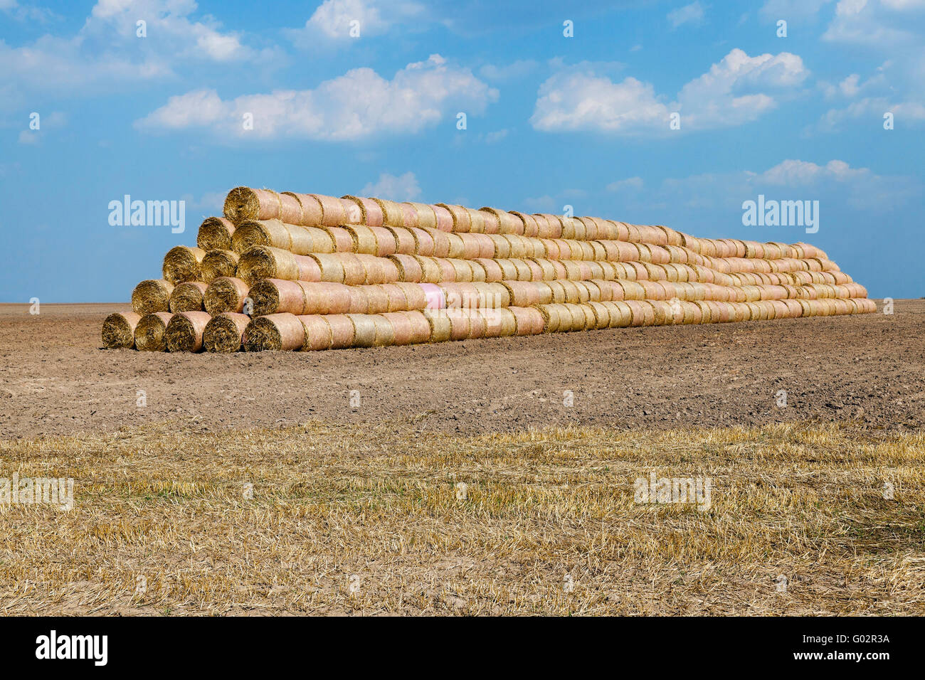 cereal harvest field Stock Photo - Alamy