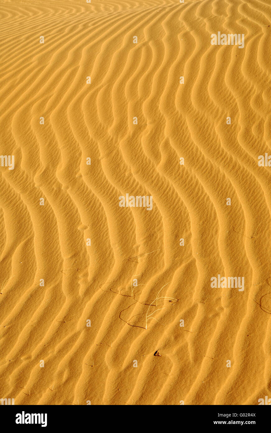 Sand structures on a sand dune, Sahara desert Stock Photo