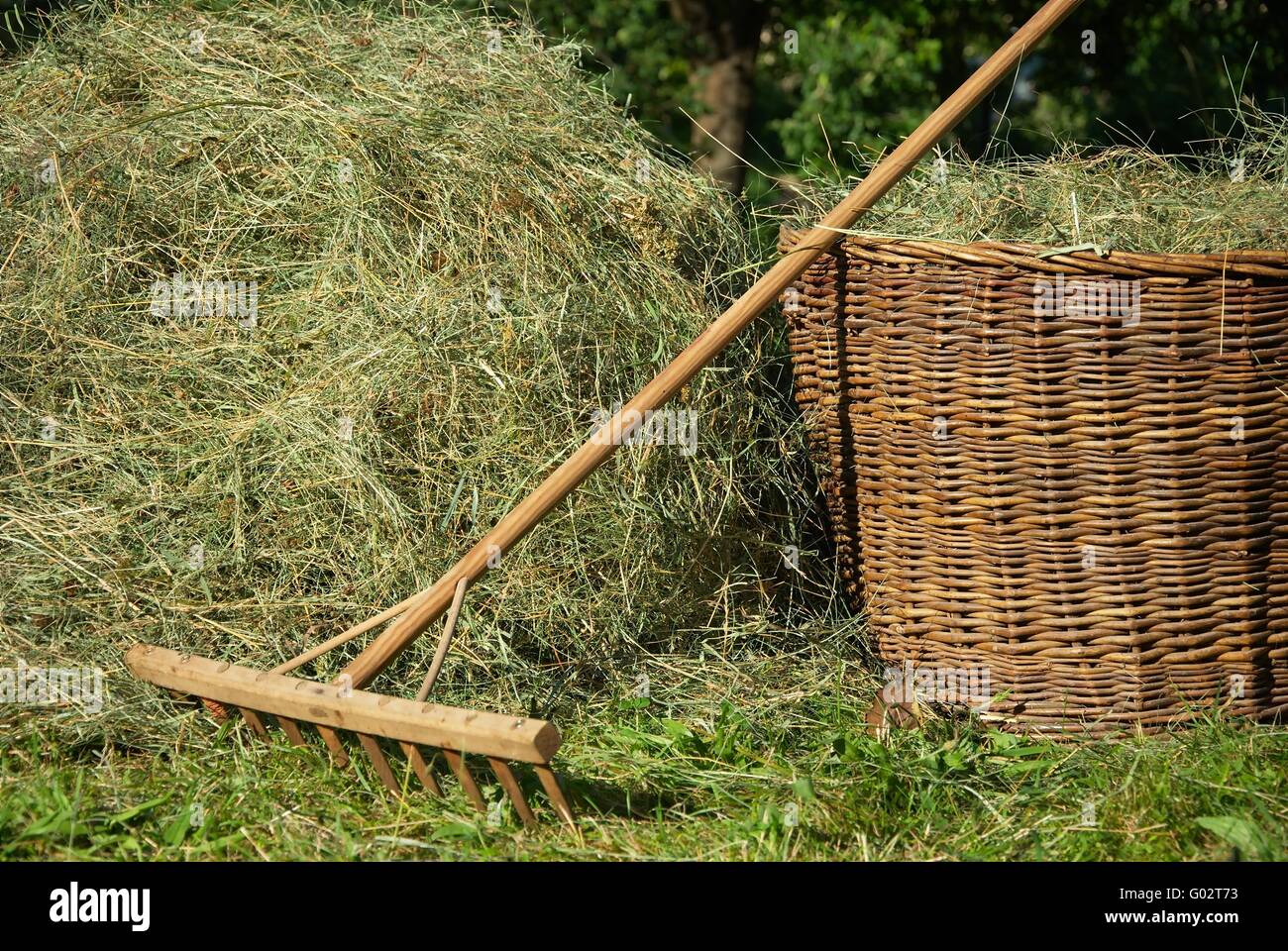 hay harvest Stock Photo