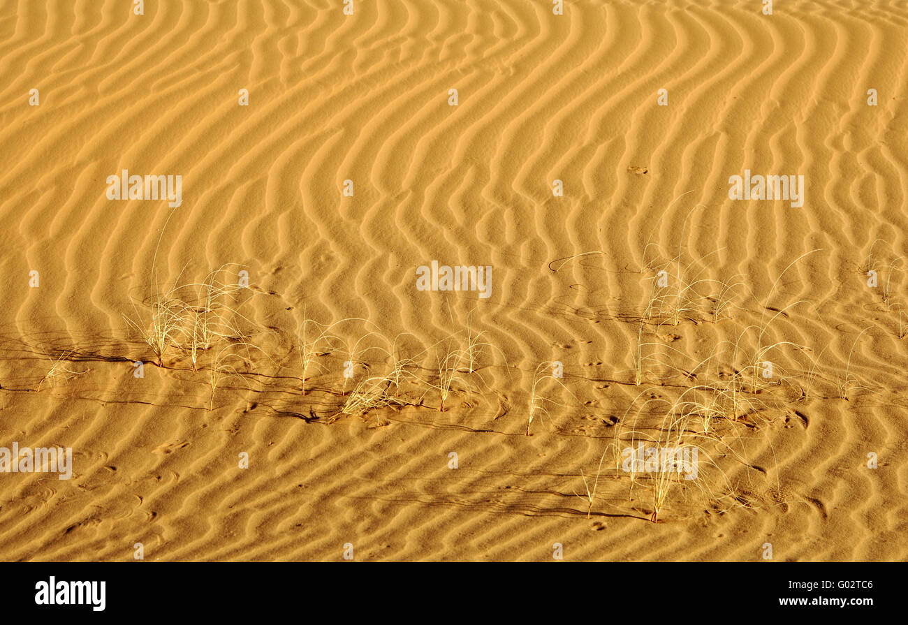 Sand structures in the Sahara desert. Libya Stock Photo