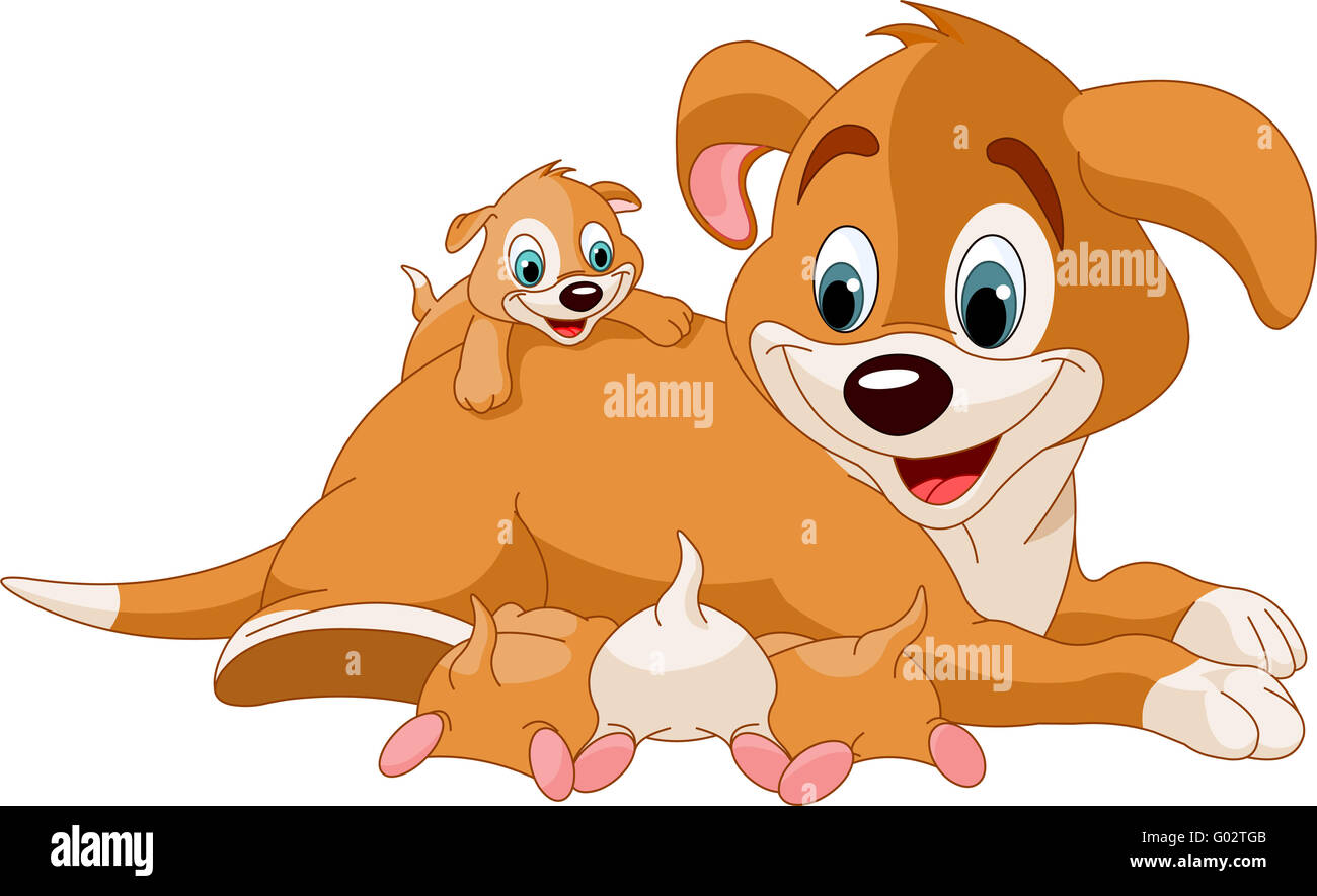 Mother dog nursing cute puppies Stock Photo - Alamy