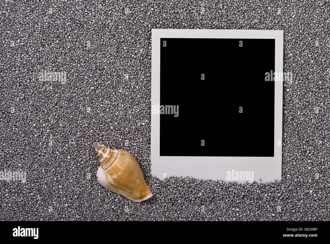 Photo frame with sea shells on silver sand background Stock Photo
